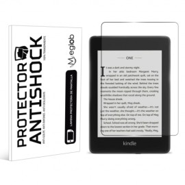 Protector Ebook Kindle 4 2018