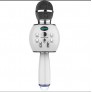 Micrófono inalámbrico DS888, 2000mAh, 100Hz-10KHz,TF / USB / FM / RADIO, 5W, DC-5V