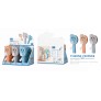 Mini Ventilador manual, Pack de 12, Se vende en Pack