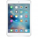 iPad Mini 2