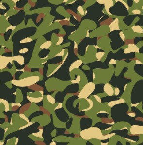 Camuflaje